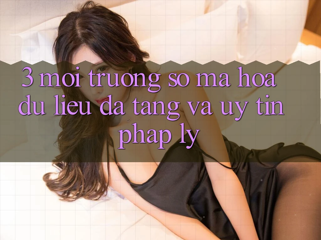 3. Môi trường số Mã hóa dữ liệu Đa Tầng Và Uy tín Pháp Lý
