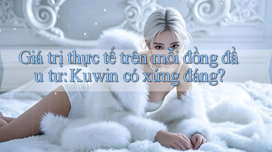 Giá trị thực tế trên mỗi đồng đầu tư: Kuwin có xứng đáng? Giá trị thực tế trên mỗi đồng đầu tư: Kuwin có xứng đáng?