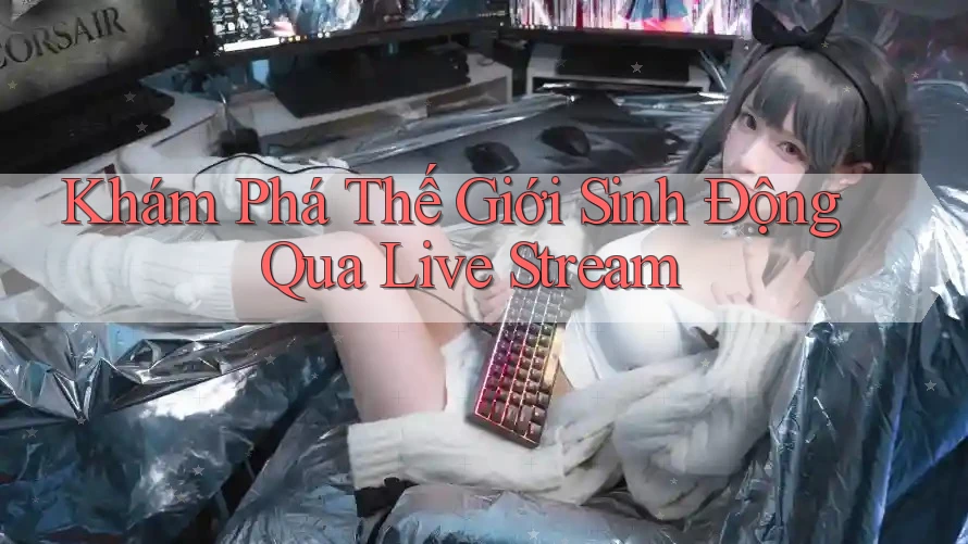 Khám Phá Thế Giới Sinh Động Qua Live Stream