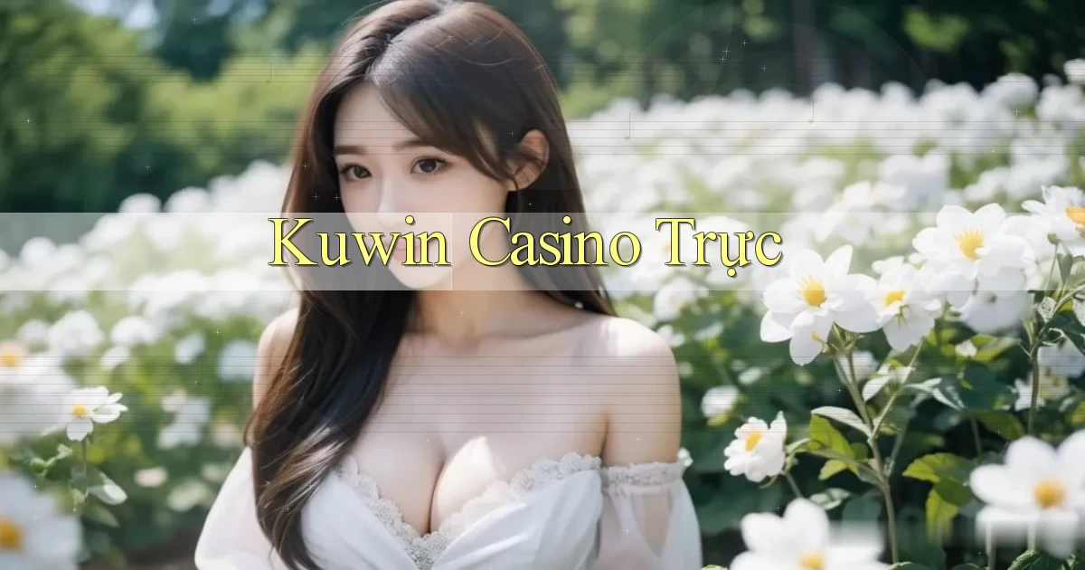 kuwin casino trực