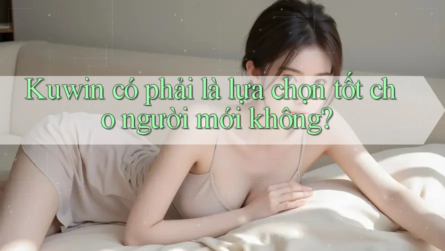 Kuwin có phải là lựa chọn tốt cho người mới không? Kuwin có phải là lựa chọn tốt cho người mới không?
