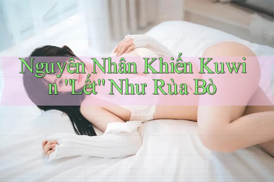 Nguyên Nhân Khiến Kuwin “Lết” Như Rùa Bò