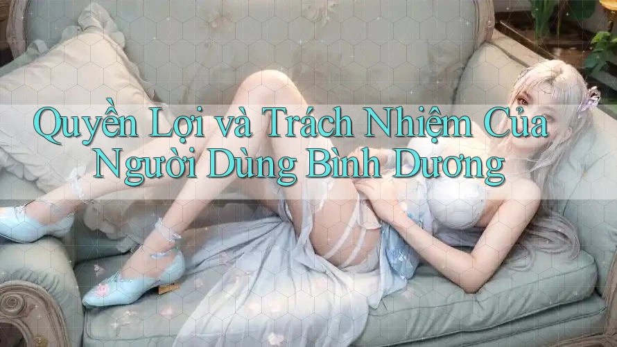Quyền Lợi và Trách Nhiệm Của Người Dùng Bình Dương